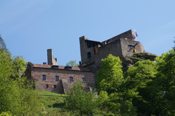 Die Burg Spangenberg bei Erfenstein (Foto: Holger Knecht)