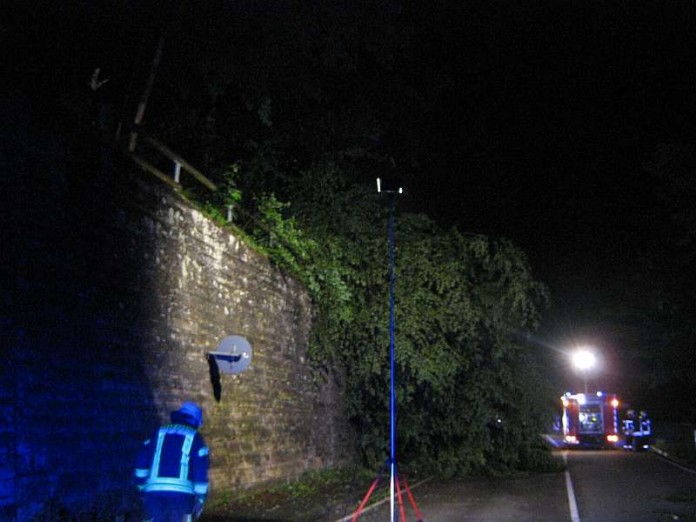Die Feuerwehr beseitigte den umgestürzten Baum (Foto: Feuerwehr Presseteam der VG Lambrecht)