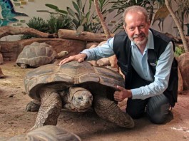 Ziemlich beste Freunde sind Zoo-Vize Dr. Clemens Becker und Riesenschildkröte Flunder. (Foto: Stadt Karlsruhe)