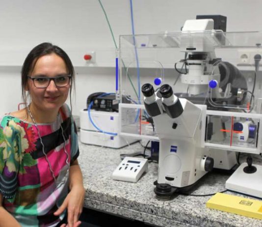 Prof. Dr. Tanja Brigadski am Cell Observer, mit dem lebende Organismen und intrazelluläre Prozesse beobachtet werden können (Foto: HS KL)