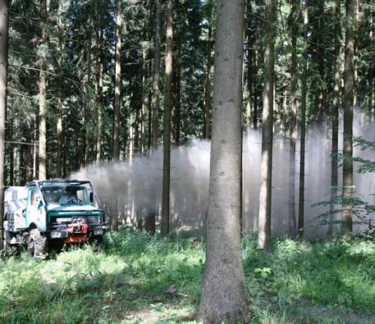 Waldkalkungen sind für die effiziente und dauerhafte Regeneration der Bodenfunktionen von großer Bedeutung. (Foto: Lukas Schmidt)