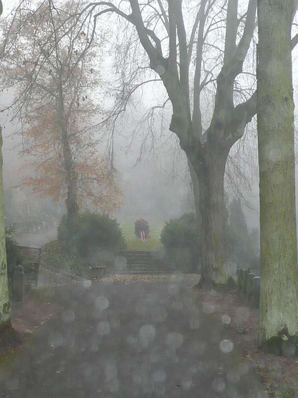Großer Ehrenfriedhof im Nebel (Foto: Stadt Bingen)