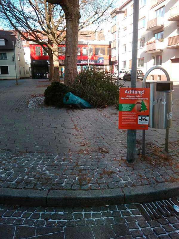 Viele Weihnachtsbäume werden illegal abgelagert, wie hier am Raiffeisenplatz (Foto: Stadt)