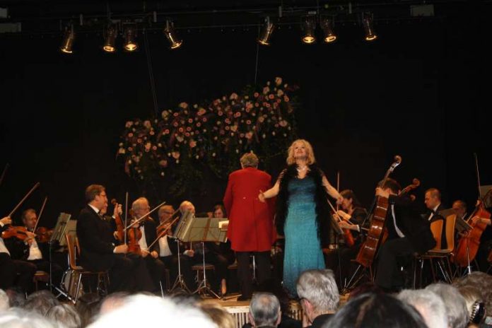 Neujahrskonzert des Johann-Strauß-Orchesters Wiesbaden (Foto: Kreisverwaltung)