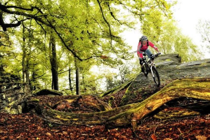 Der Pfälzerwald, das größte zusammenhängende Waldgebiet Deutschlands, bietet eine ideale Mountainbike-Topografie mit abwechslungsreichen Höhenprofilen. Auf über 300 Kilometern übersichtlich ausgeschilderten Touren, verfügt der Mountainbikepark über eine Vielzahl verschiedener Wege mit schmalen Pfaden, steilen Anstiegen und technisch anspruchsvollen Abfahrten. Eindrucksvolle Aussichten wechseln sich mit interessanten Sehenswürdigkeiten ab und urige Hütten bieten den Bikern eine herzliche Bewirtung. (Pfalz.Touristik e.V.)