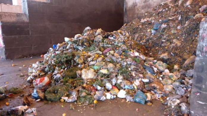 In den gesammelten Bioabfällen befinden sich neben organischen Küchenabfällen zahlreiche Plastiktüten, die den Verarbeitungsprozess in der Anlage deutlich erschweren. (Foto: Amt für Abfallwirtschaft)