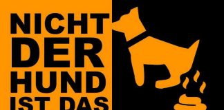Ab dem 24. März werden die Aktionsfähnchen gegen Hundekot „gehisst“ - diesmal mit weiteren neuen Slogans und in auffälliger Farbe. Foto: Stadt Worms)