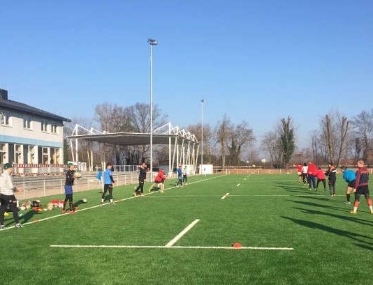 Rugby-Training in Heidelberg (Foto: Wild Rugby Academy)