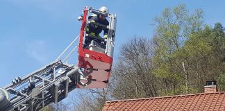 Die Feuerwehr rettete die Katze vom Dach (Foto: Presseteam der Feuerwehr VG Lambrecht)