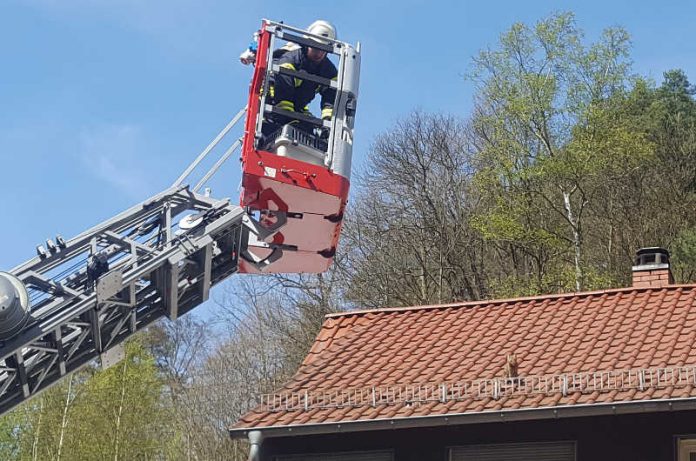 Die Feuerwehr rettete die Katze vom Dach (Foto: Presseteam der Feuerwehr VG Lambrecht)