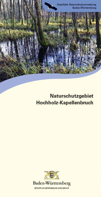 Titelseite Faltblatt Naturschutzgebiet Hochholz-Kapellenbruch (Bildautorin: Dr. Brigitta Martens-Aly)
