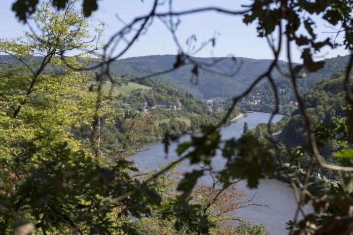 Blick aufs Heidelberger Neckartal: Zum „GEO Tag der Natur“ sind Naturliebhaber vom 25. bis 28. Mai 2017 zu insgesamt 20 kostenlose Exkursionen und Führungen in Heidelberg eingeladen. (Foto: Steffen Diemer)