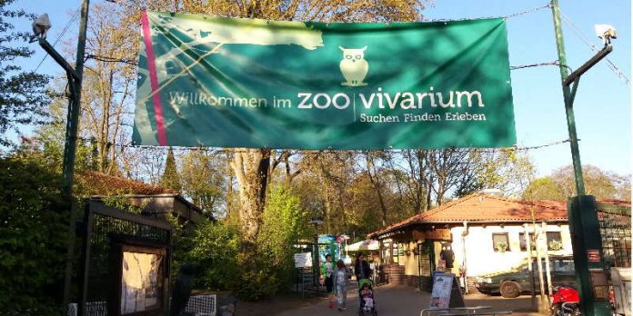 Zoo Vivarium bietet Familien einen tollen Erlebnistag im Zoo. (Foto: Wissenschaftsstadt Darmstadt/ Sibel Öz)