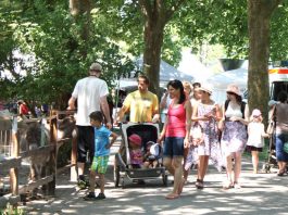 Der Tiergarten Worms lädt zum Flanieren während des zweitägigen Sommerfestes ein. (Foto: Freizeitbetriebe Worms GmbH)