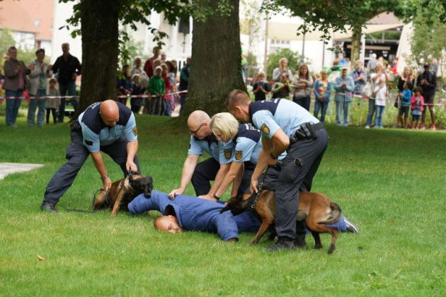Vorführung der Hundeführer (Foto: Holger Knecht)