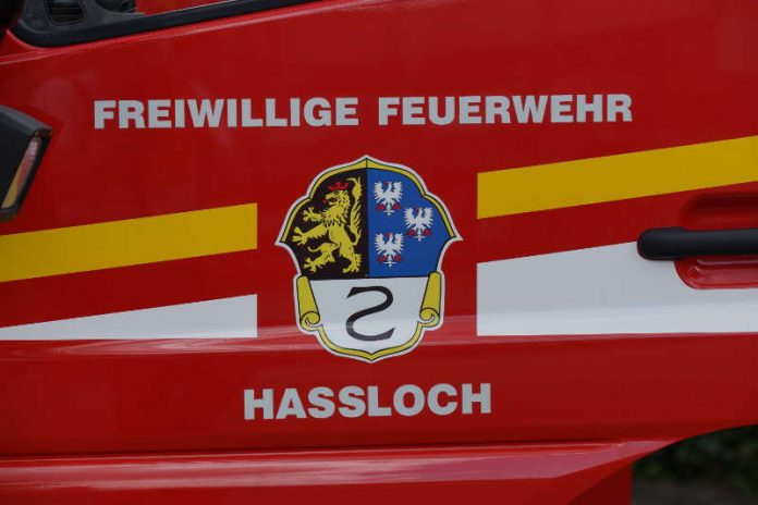 Symbolbild, Feuerwehr, Haßloch, Wappen
