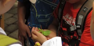 Kinder mit Wandelndem Blatt und Stempelpass beim Aktionstag für Biologische Vielfalt im Opelzoo. (Foto: Paul Dierkes)