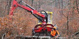 Sturmholzaufarbeitung mit Unterstützung durch eine Rückemaschine (Foto: Landratsamt Rhein-Neckar-Kreis)