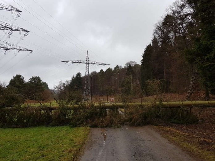 Ein Baum war umgestürzt (Foto: Feuerwehr VG Otterbach-Otterberg)