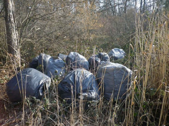 Die Säcke wurden einfach in den Wald geworfen. (Foto: Stadtverwaltung Neustadt)