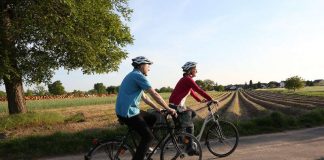 Spargelfelder und Rheinebene begeistern immer mehr Radtouristen (Foto: Staronwerk.de)