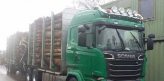 Holz-LKW auf der Waage