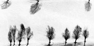 Still und bewegt: Abbas Kiarostamis Fotografie ohne Titel aus der Serie „Snow White“, die zwischen 1978 und 2004 entstand (Foto: Privatsammlung, Courtesy Stiftung Situation Kunst, Bochum © Nachlass Kiarostami)