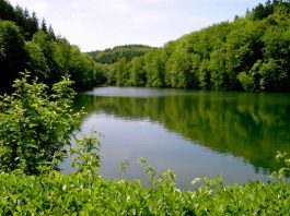 Reinheit der Gewässer: ein Wunschtraum? (Foto: Bezirksverband Pfalz)