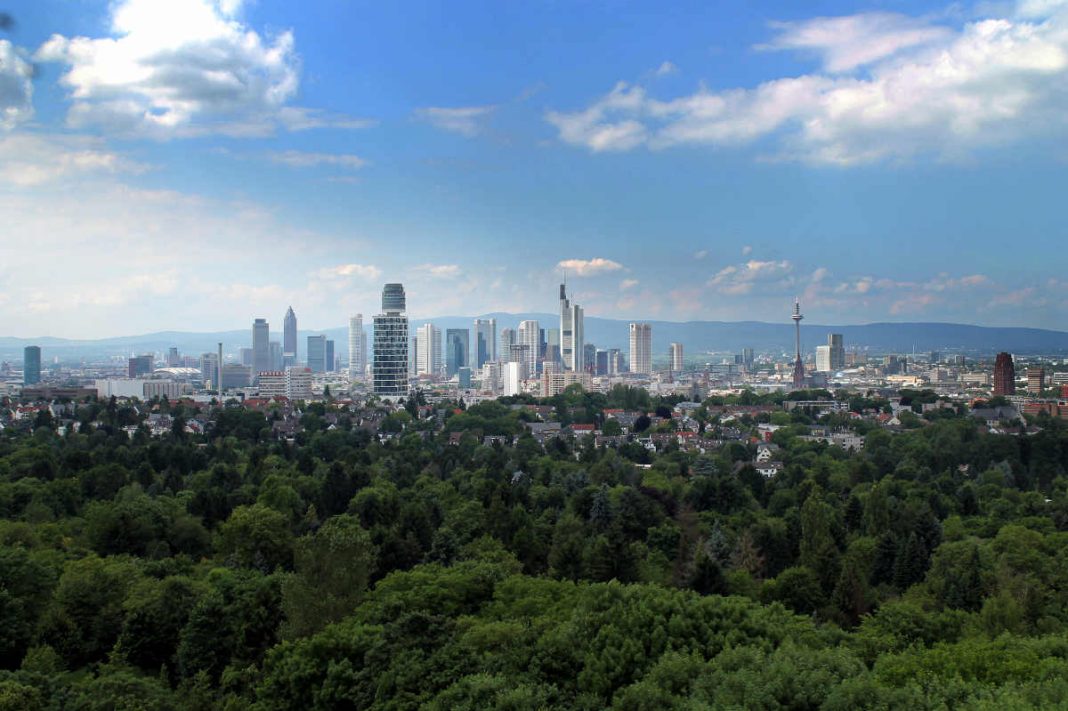 Blick auf die Skyline vom Stadtwald aus (Foto: Stadt Frankfurt)
