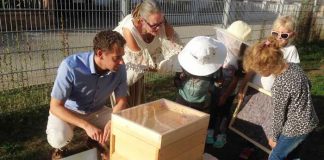 Bienenprojekt Kita Klaster - Quelle: Stadt Bad Kreuznach