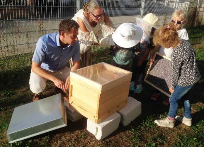 Bienenprojekt Kita Klaster - Quelle: Stadt Bad Kreuznach
