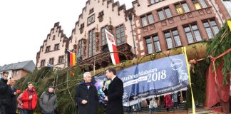 Aufstellung Weihnachtsbaum 2018: OB Peter Feldmann mit Schlüchterns Bürgermeister Matthias Möller vor dem Baum (Foto: Stadt Frankfurt/Rainer Rüffer)