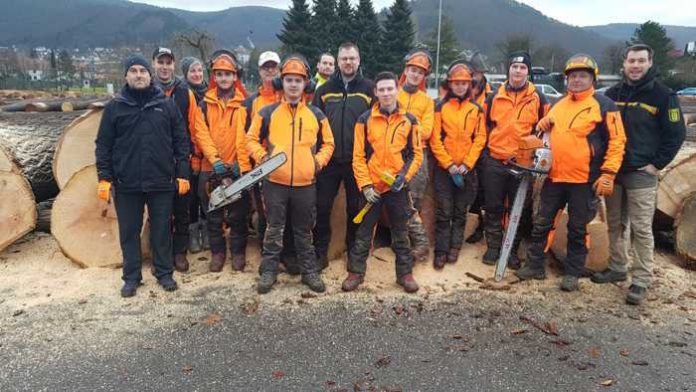 Das Team der Forstbetriebsleitung Schwarzach bei der Vorbereitung zur Holzaufnahme für die anstehende Nadelwertholzsubmission Mitte Februar. - Fotos: Landratsamt