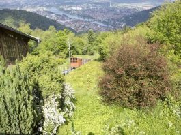 Quelle: Bergbahn Heidelberg