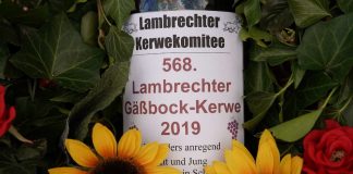Lambrecht Gäsbock-Kerwe 2019 (Foto: Holger Knecht)