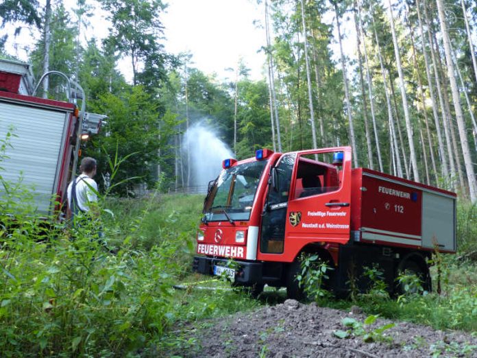 Die Feuerwehr im Wald (Foto: Feuerwehr Neustadt)