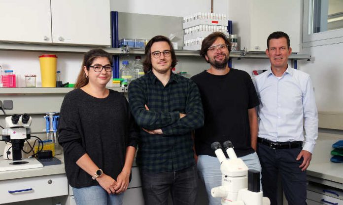 Das Forscherteam (v.l.n.r.): Vanessa Bräuler, Benjamin Escribano, Dominique Siegenthaler und Prof. Dr. Jan Pielage.