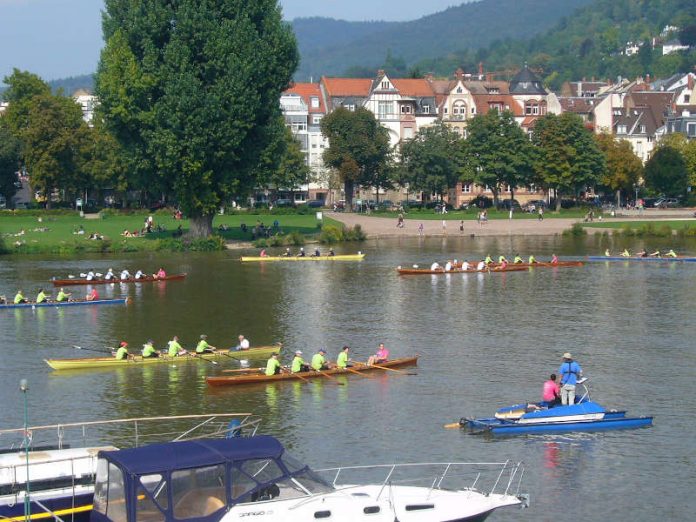 Rudern gegen Krebs-Regatta in Heidelberg (Foto: Hannes Blank)