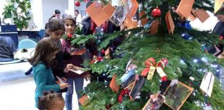 Kinder haben wieder Weihnachtswünsche an einen Tannenbaum gehängt, der im Bürgerbüro steht. (Foto: Stadtverwaltung Neustadt)
