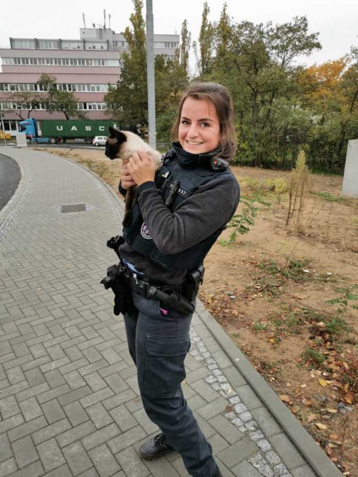 Polizeikommissarin Katalin Hajnadi mit dem geretteten Kätzchen.