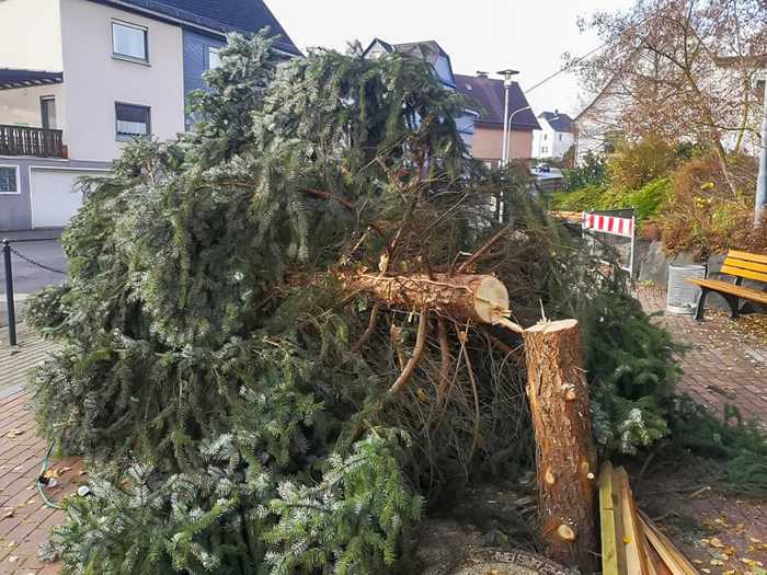 Unbekannte fällen Weihnachtsbaum in Dillenburg-Frohnhausen - Wer kann Angaben zu den Tätern machen?