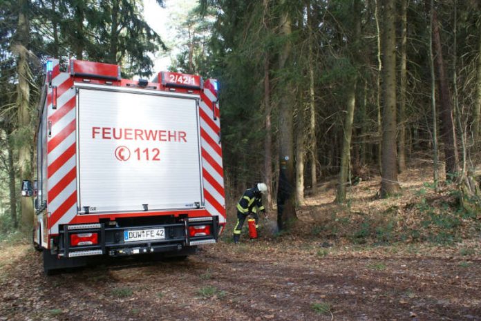 Ein Baum brannte (Foto: Presseteam der Feuerwehr VG Lambrecht)