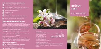 Freinsheimer Blütenfest (Quelle: Freinsheim Touristik e.V.)