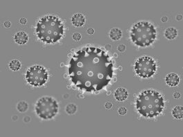 Symbolbild Coronavirus (Foto: Pixabay/iXimus)