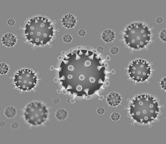 Symbolbild Coronavirus (Foto: Pixabay/iXimus)