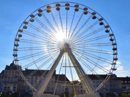 Das neue „Landau Eye“ auf dem Rathausplatz in der Morgensonne. (Foto: Stadt Landau)