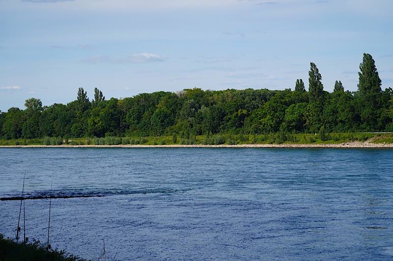 Symbolbild Rhein (Foto: Holger Knecht)
