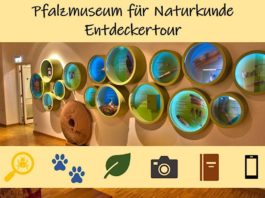 Entdeckertour im Pfalzmuseum für Naturkunde (Foto: Pfalzmuseum für Naturkunde)