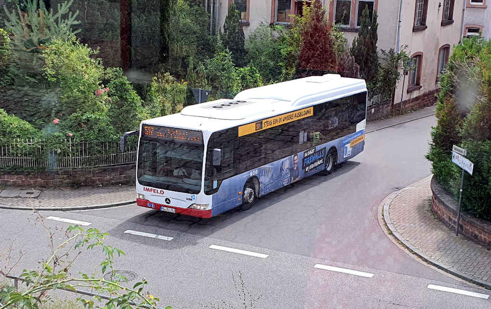 Bus Linie 517 (Foto: Holger Knecht)