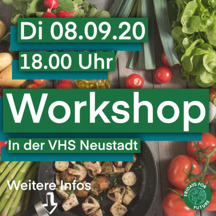 FFF-Workshop in Neustadt